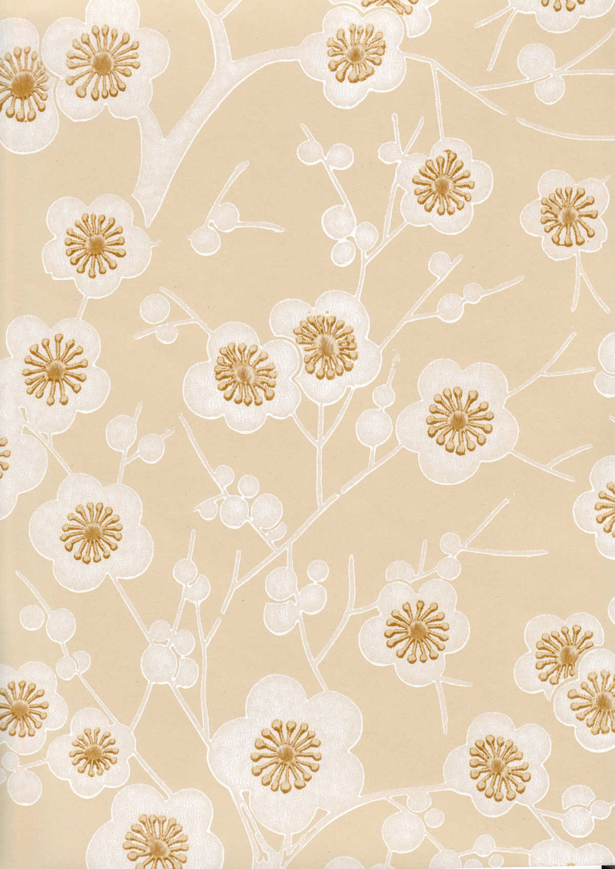 Kirsikkapuu 69751 Beige-valkoinen (Pihlgren ja Ritola)